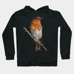 Little Robin Hoodie